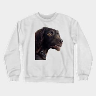 Confused Dogs Shirt, Awkward Dogs, Awkward Staring, Two Dogs Staring Matching Crewneck Sweatshirt